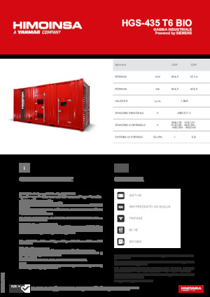 Stromerzeuger, Benzin HIMOINSA HGS-435 T6 BIO