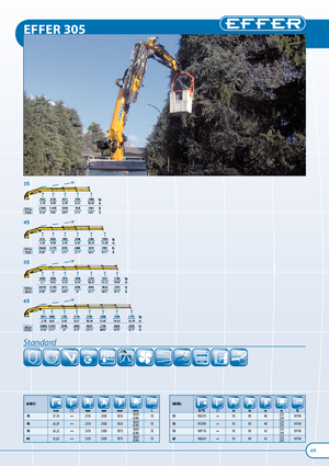 Hydr. Ladekrane Effer 305.11 3S