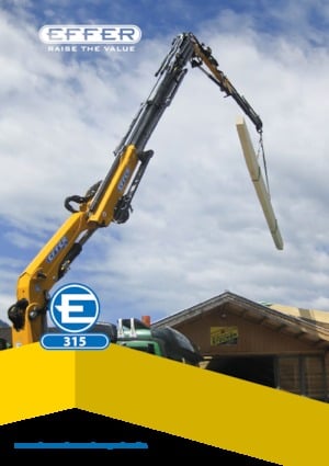 Hydr. Ladekrane Effer 315 6S