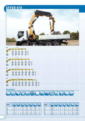 Hydr. Ladekrane Effer 470 6S