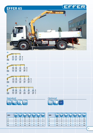 Hydr. Ladekrane Effer 65 2S