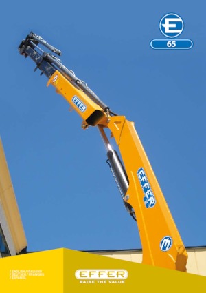Hydr. Ladekrane Effer 65 4S