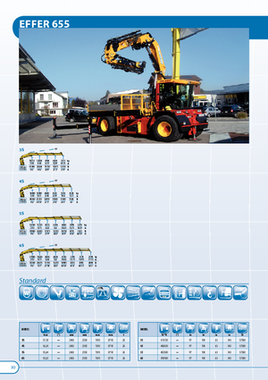 Hydr. Ladekrane Effer 655 3S