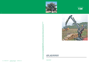 Hydr. Ladekrane Guerra 73 N 1