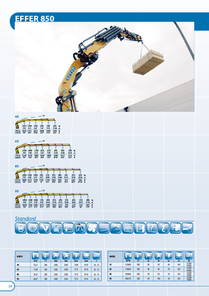 Hydr. Ladekrane Effer 850 8S 4S