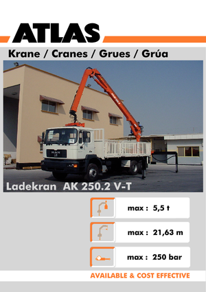 Hydr. Ladekrane Atlas AK 250.2V A21 