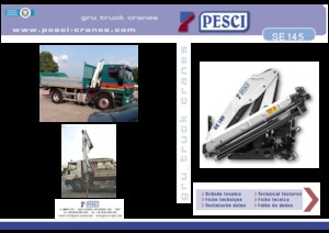 Hydr. Ladekrane Pesci SE 145
