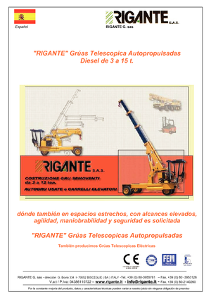 Industrie-Mobilkrane Rigante GR 50