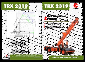 Industrie-Mobilkrane Escorts TRX 2319