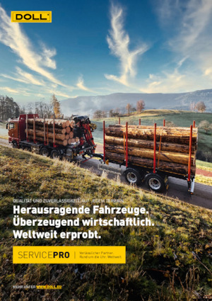 Anhänger Tiefbett Doll LOGO 14