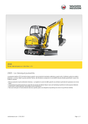 Minibagger Neuson 2503