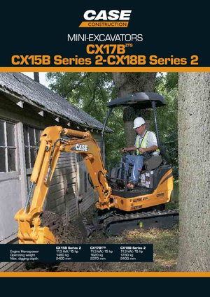 Minibagger Case CX17B ZTS