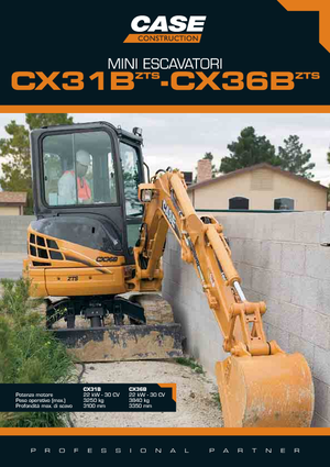 Minibagger Case CX 31 B ZTS