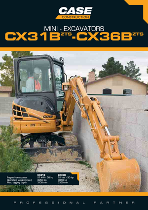 Minibagger Case CX 31 B ZTS