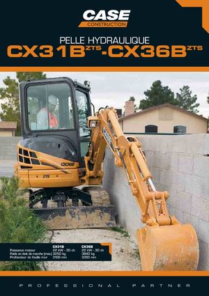 Minibagger Case CX 31 B ZTS