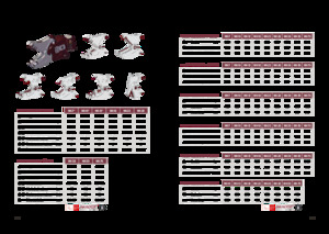 Multiprozessoren Hydra Ram MK-10 P Gebiss