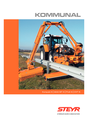 Kommunale Schlepper Steyr 6195 CVT K