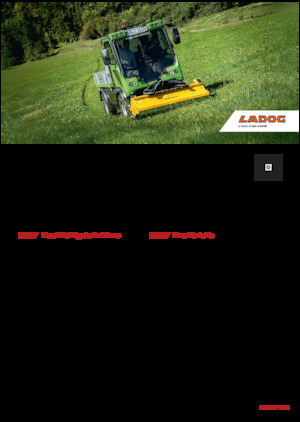 Kommunale Mehrzweckfahrzeuge Diesel Ladog E 1400