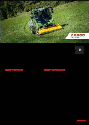 Kommunale Mehrzweckfahrzeuge Diesel Ladog E 1400