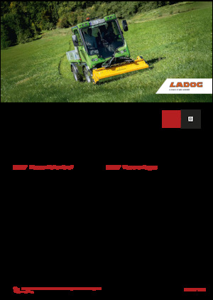 Kommunale Mehrzweckfahrzeuge Diesel Ladog E 1400