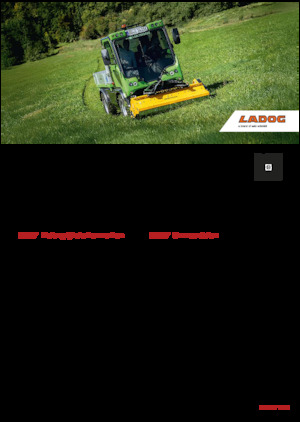 Kommunale Mehrzweckfahrzeuge Diesel Ladog E 1400