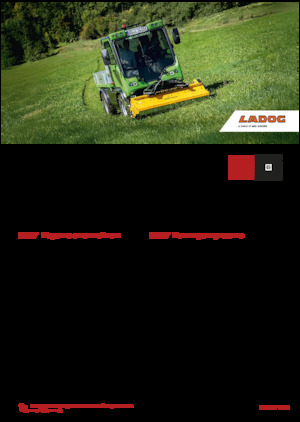 Kommunale Mehrzweckfahrzeuge Diesel Ladog E 1400