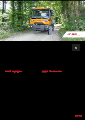 Kommunale Mehrzweckfahrzeuge Diesel Aebi MT 770