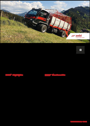 Kommunale Mehrzweckfahrzeuge Diesel Aebi TP 470 Vario