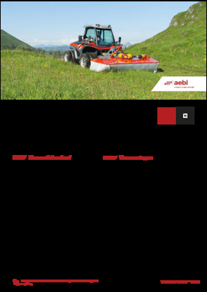 Kommunale Mehrzweckfahrzeuge Diesel Aebi TT 211+