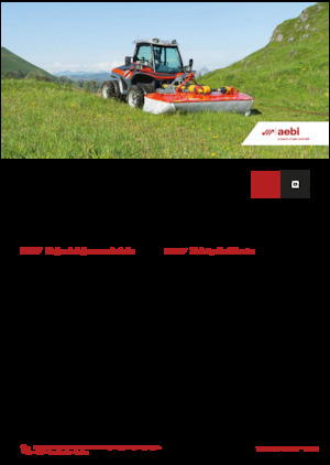 Kommunale Mehrzweckfahrzeuge Diesel Aebi TT 211+