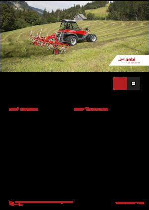 Kommunale Mehrzweckfahrzeuge Diesel Aebi TT 241+