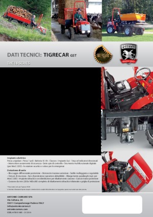 Kommunale Schlepper Carraro Tigrecar 4300 GST