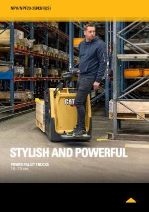 E.-Stand-Niederhubagen Caterpillar NPF25N3R