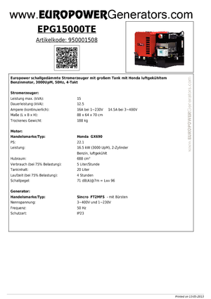 Stromerzeuger, Benzin Europower EPG15000TE (S)
