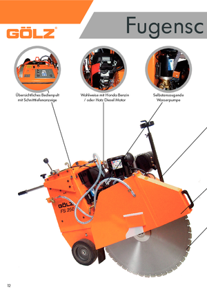 Fugenschneider Gölz FS 250 B
