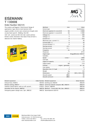 Stromerzeuger, Benzin Eisemann T 13000 E
