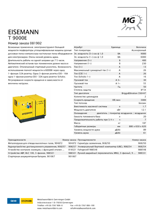 Stromerzeuger, Benzin Eisemann T 9000 E