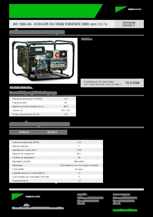 Stromerzeuger, Benzin INMESOL AK-1300-CA