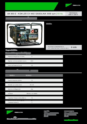 Stromerzeuger, Benzin INMESOL AK 900-E