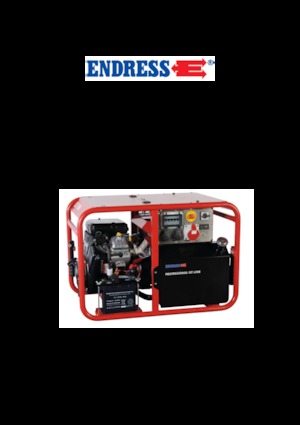Stromerzeuger, Benzin Endress ESE 1006 DBS-GT ES 