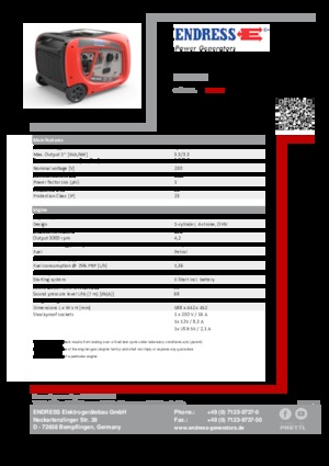 Stromerzeuger, Benzin Endress ESE 3000i