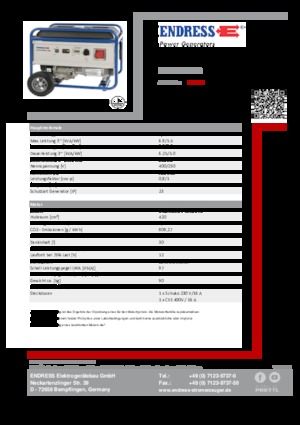 Stromerzeuger, Benzin Endress ESE 6000 DBS