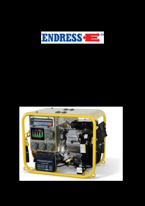 Stromerzeuger, Benzin Endress ESE 604 DBG ES DIN