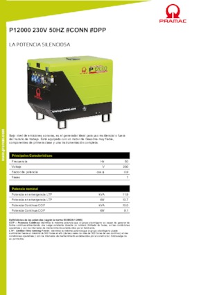 Stromerzeuger, Benzin PRAMAC Lifter P 12000 THB