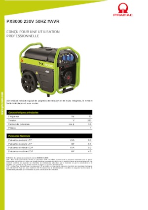 Stromerzeuger, Benzin PRAMAC Lifter PX 8000