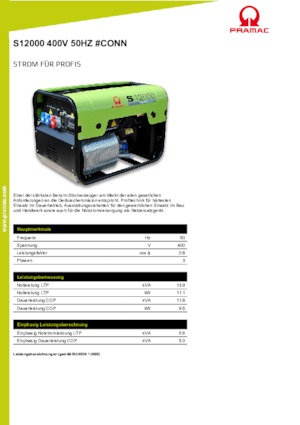 Stromerzeuger, Benzin PRAMAC Lifter SP 12000