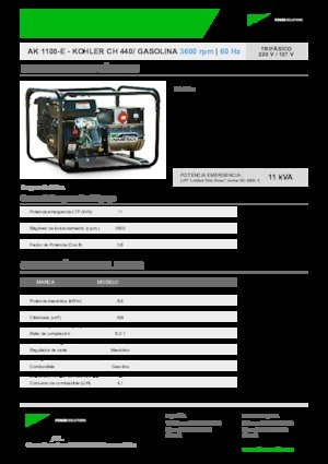 Stromerzeuger, Benzin INMESOL AK 1100-E