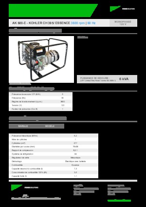 Stromerzeuger, Benzin INMESOL AK 600-E