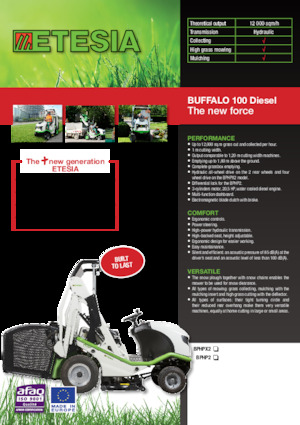 Aufsitzrasenmäher, Rasen- und Gartentraktoren Etesia BUFFALO 100 BPHPX2