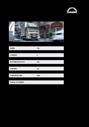 Fahrgestell MAN TGL 8.250 4x2